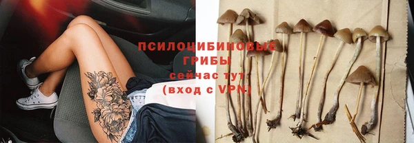 стафф Медвежьегорск