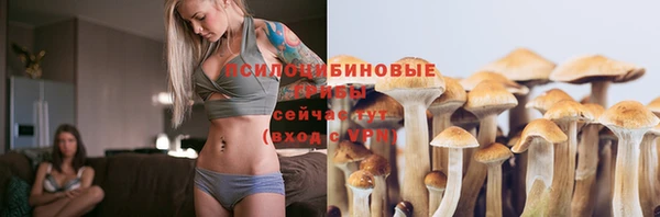 а пвп мука Медногорск