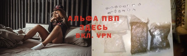 стафф Медвежьегорск