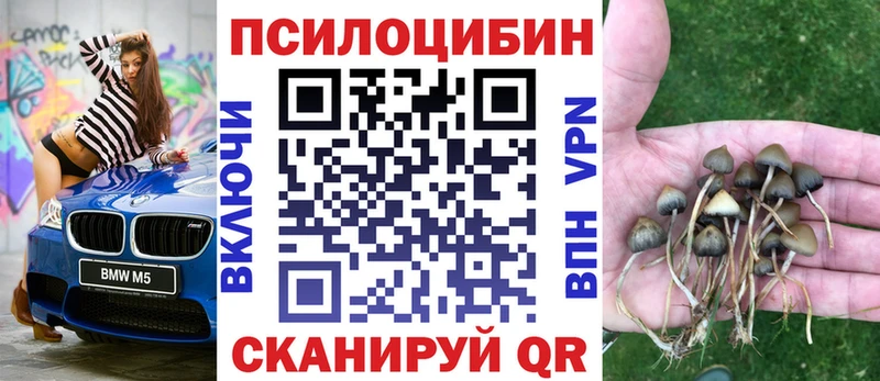 это телеграм  МЕГА ссылка  Сосновый Бор  Псилоцибиновые грибы Magic Shrooms 