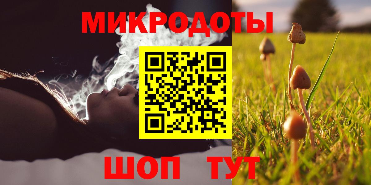 Псилоцибиновые грибы Psilocybine cubensis  Вход с VPN  Сосновый Бор 