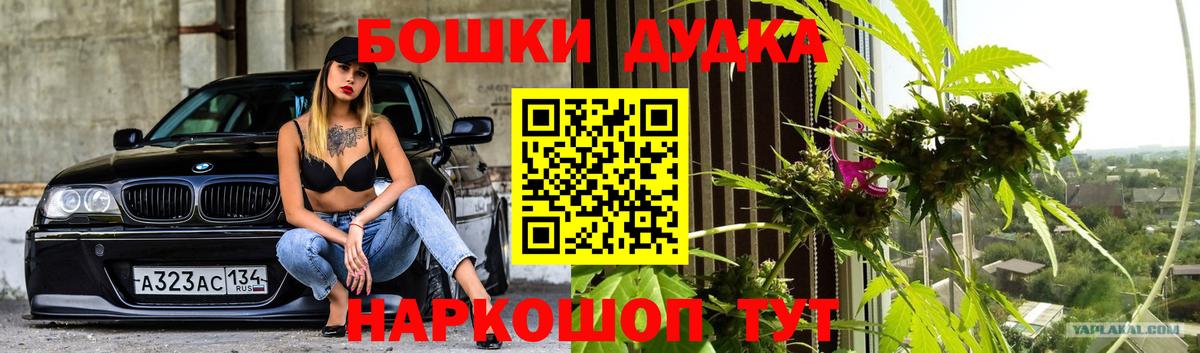 Каннабис индика Сосновый Бор